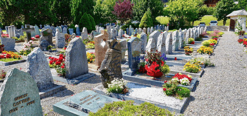 Jakie kwiaty na cmentarz