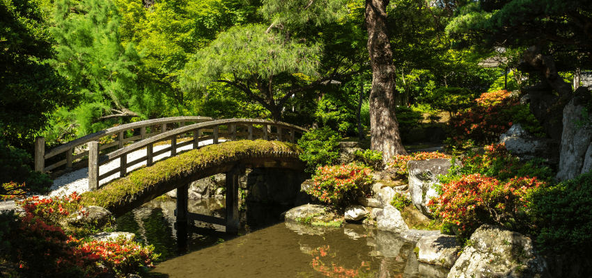 Ogród w stylu japońskim w twoim domu. Ogród japoński aranżacje, inspiracje.